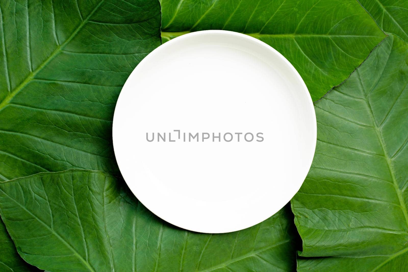 Empty white ceramic plate on taro leaves background. Top view