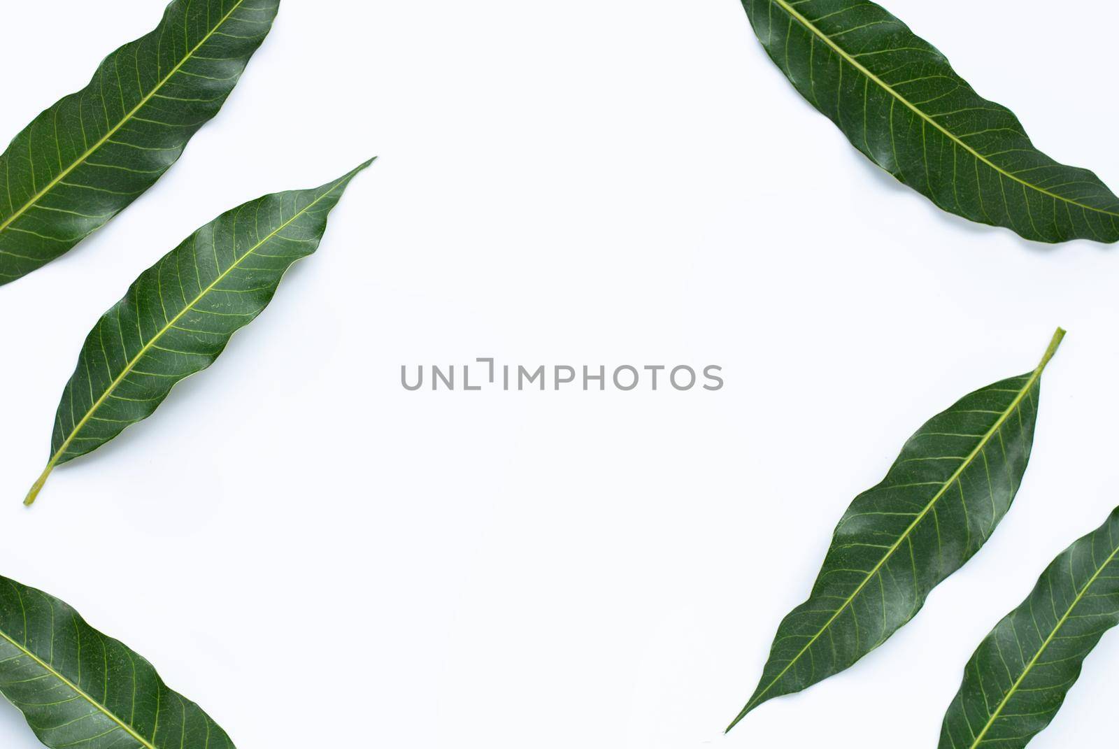 Frame made of mango on white background.  Copy space
