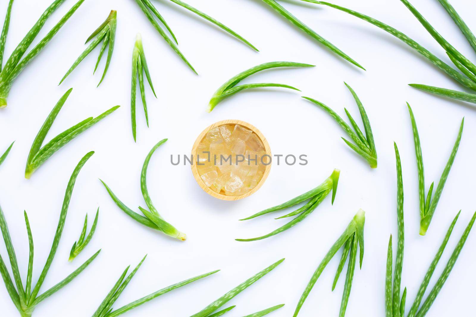 Aloe vera is a popular medicinal plant for health and beauty, on a white background.