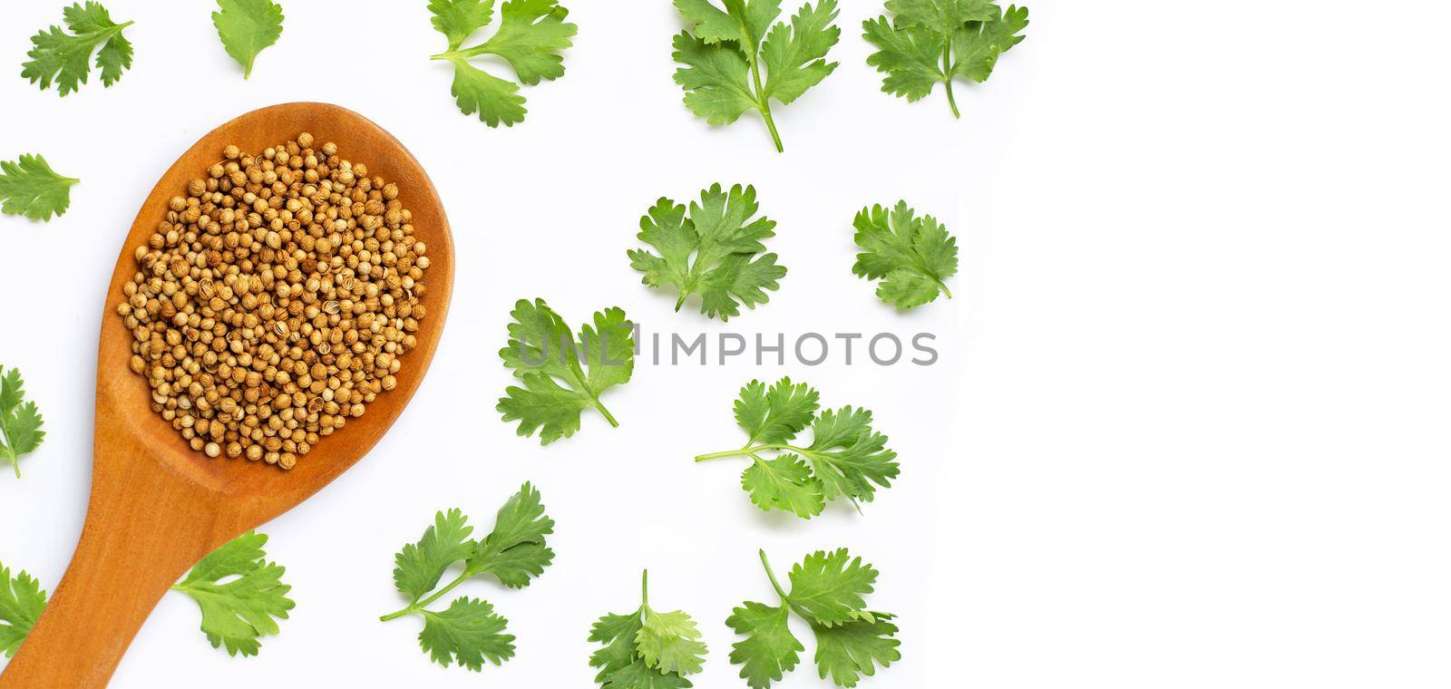 Coriander seeds with fresh leaves isolated on white by Bowonpat