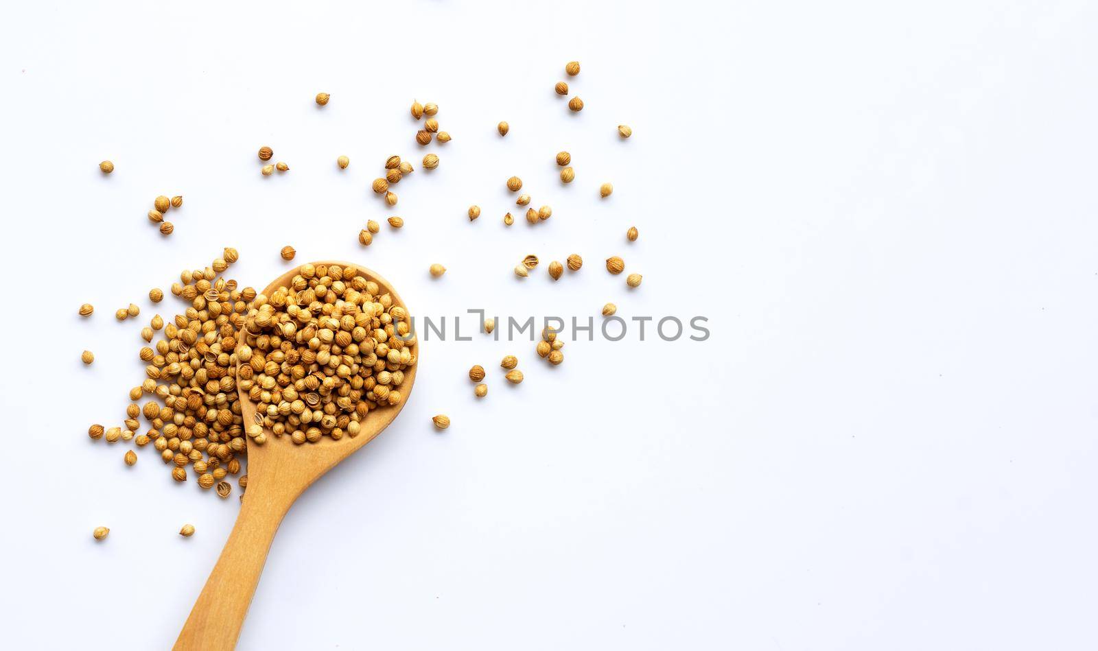 Coriander seeds on white background. Copy space