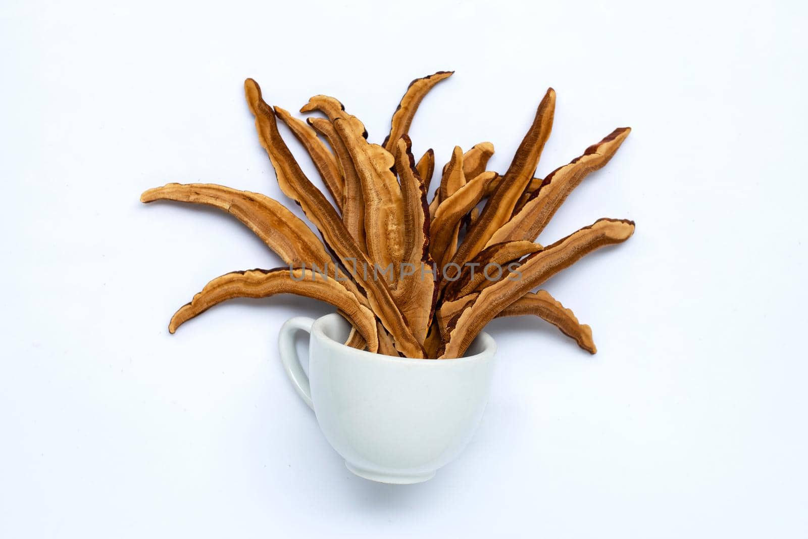 Dried lingzhi mushroom slices with cup on white background. Copy space