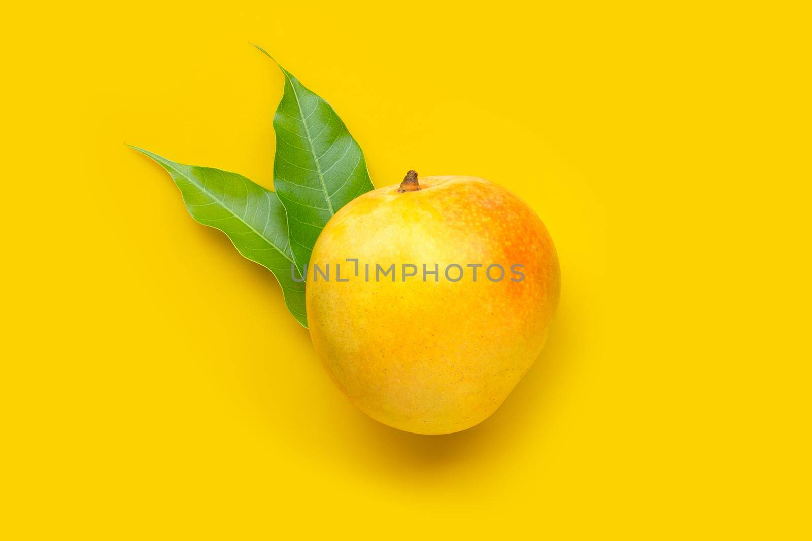 Tropical fruit, Mango on yellow background. Top view