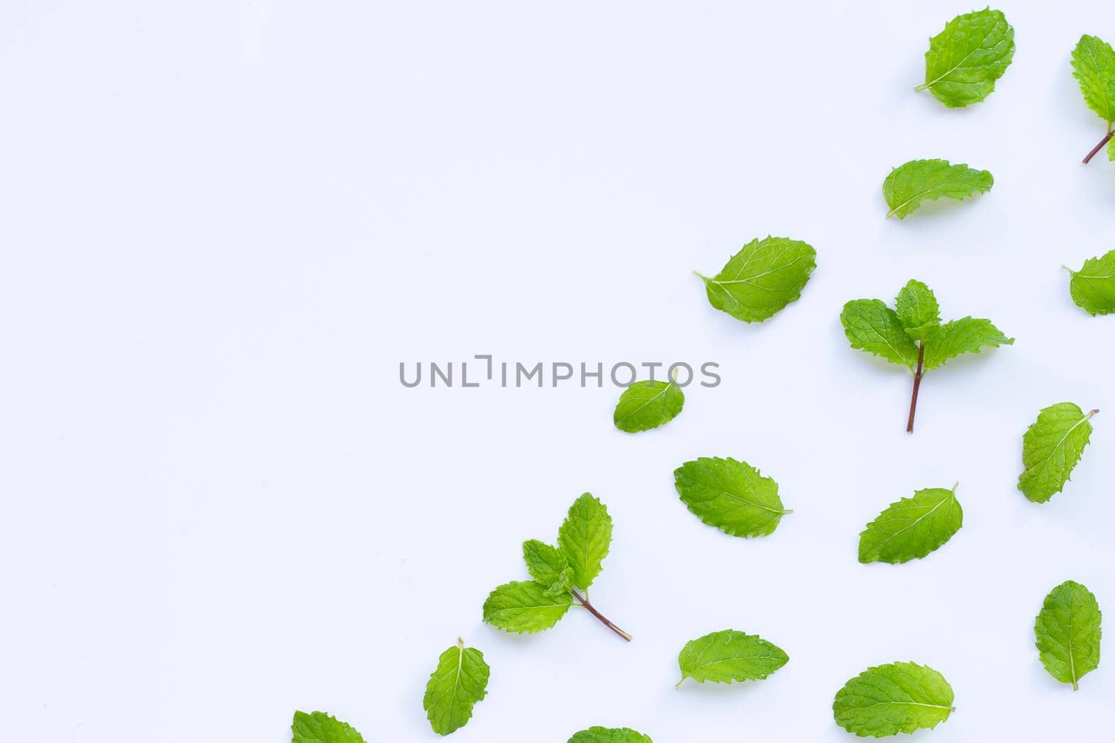 Fresh mint leaves on white background. Copy space