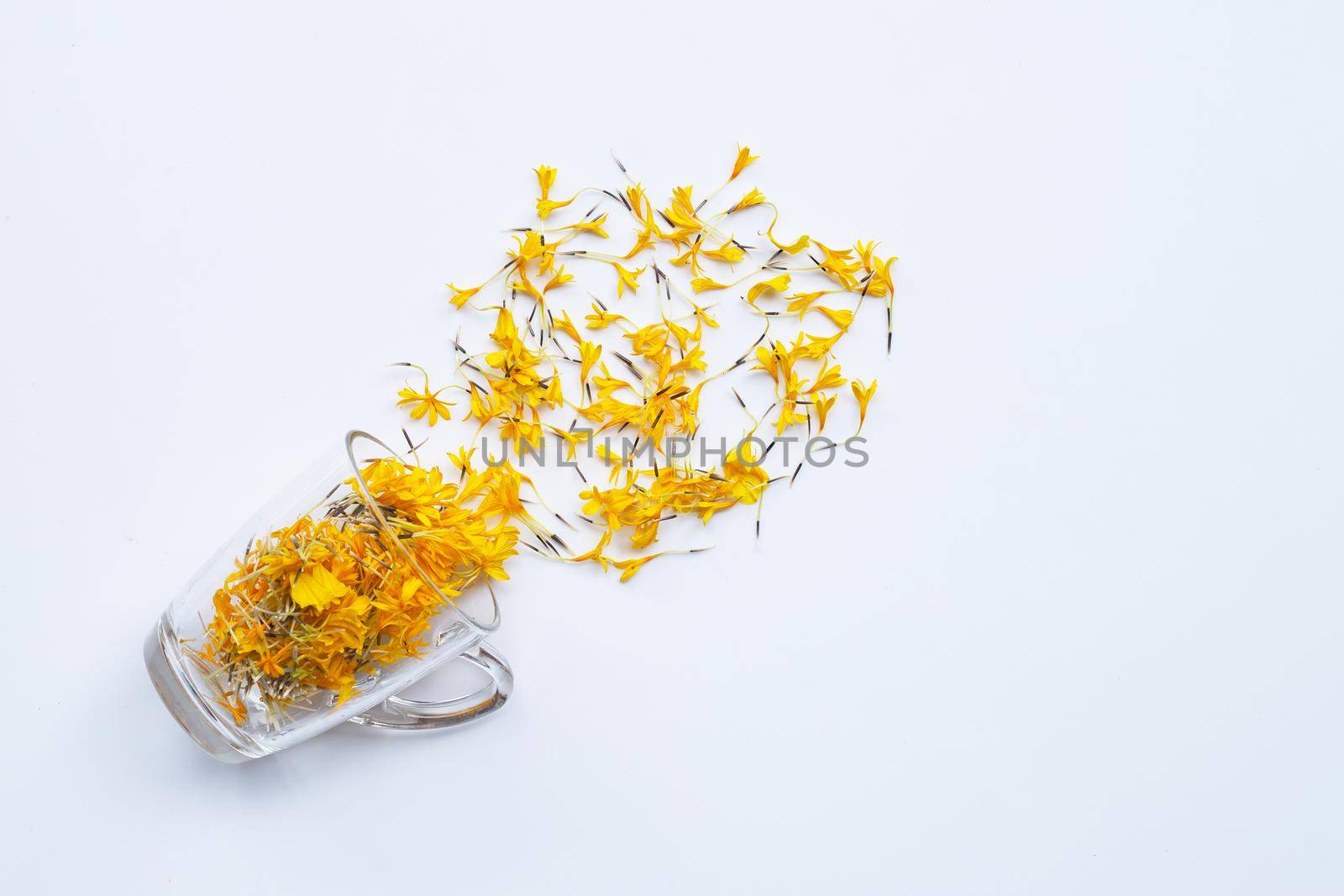 A glass cup with marigold flower petals on white background Flower herbal tea concept.