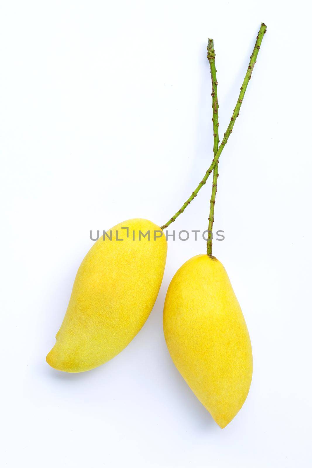 Tropical fruit, Mango  on white background. Top view