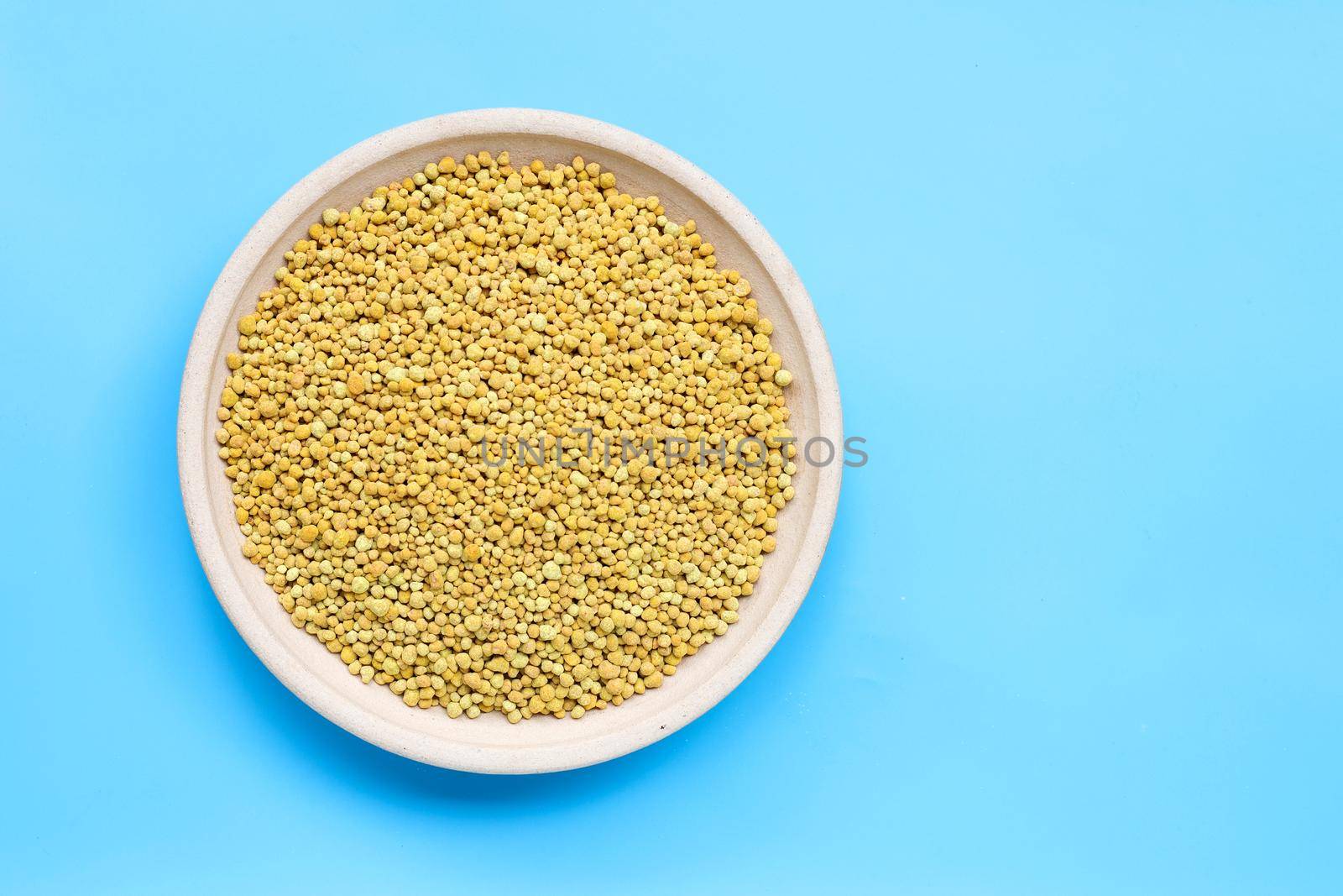 Chemical fertilizer for planting and plantation. Copy space