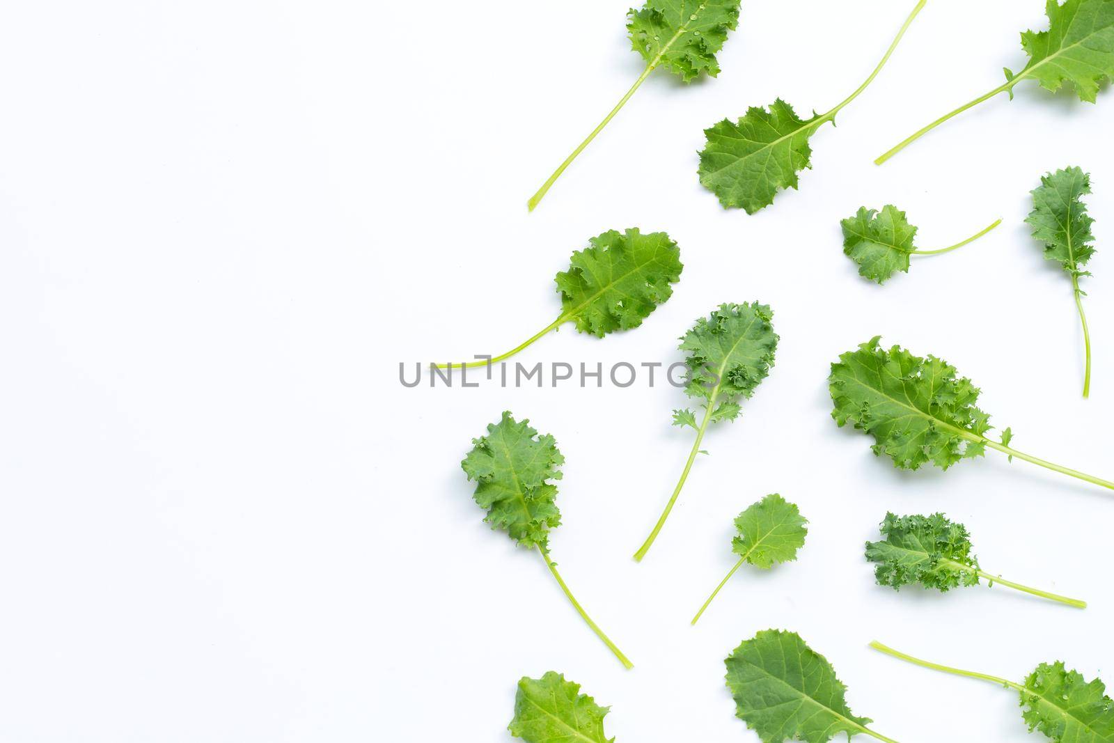 Kale leaves on white background. Top view