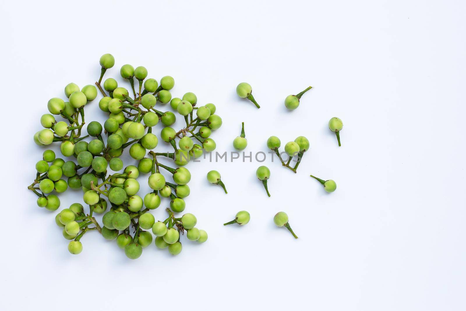 Turkey berry isolated on white background. Top view