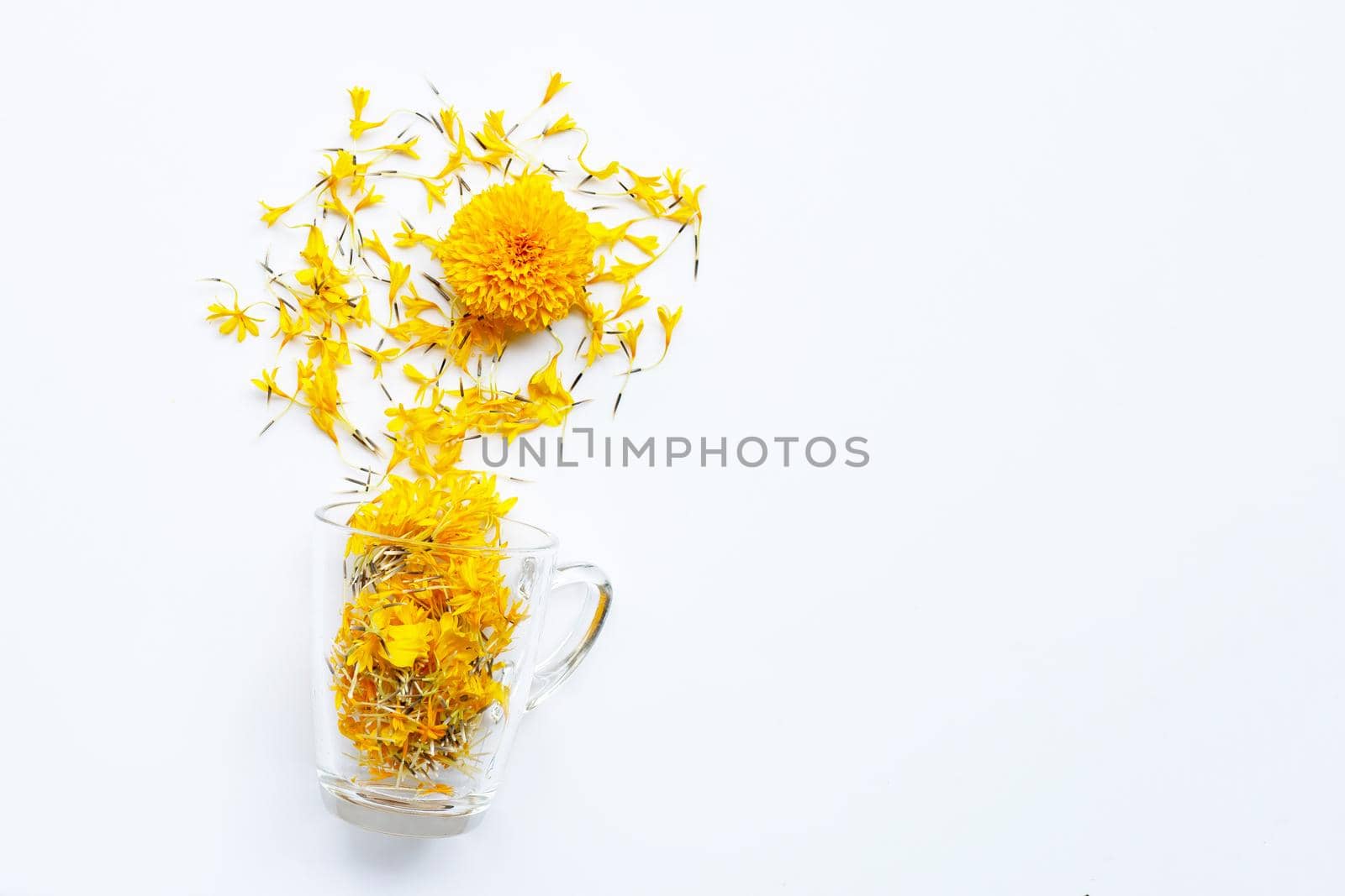 A glass cup with marigold flower petals on white background. Flower herbal tea concept.
