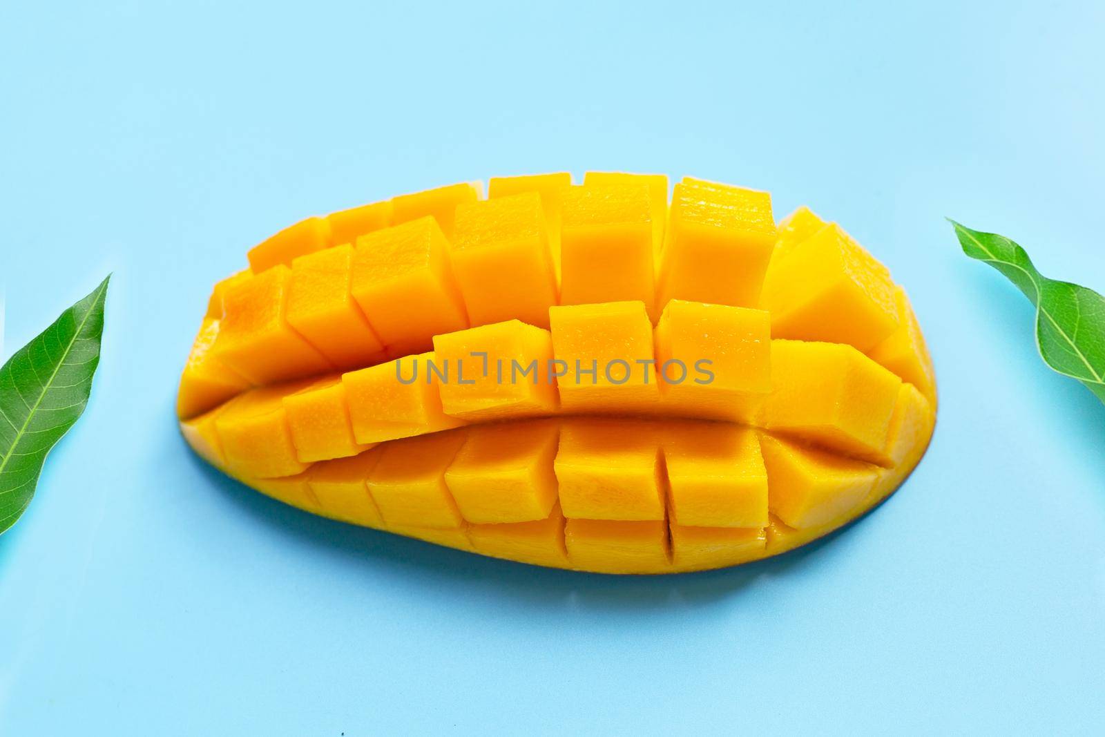Tropical fruit, Mango  on blue background. Top view
