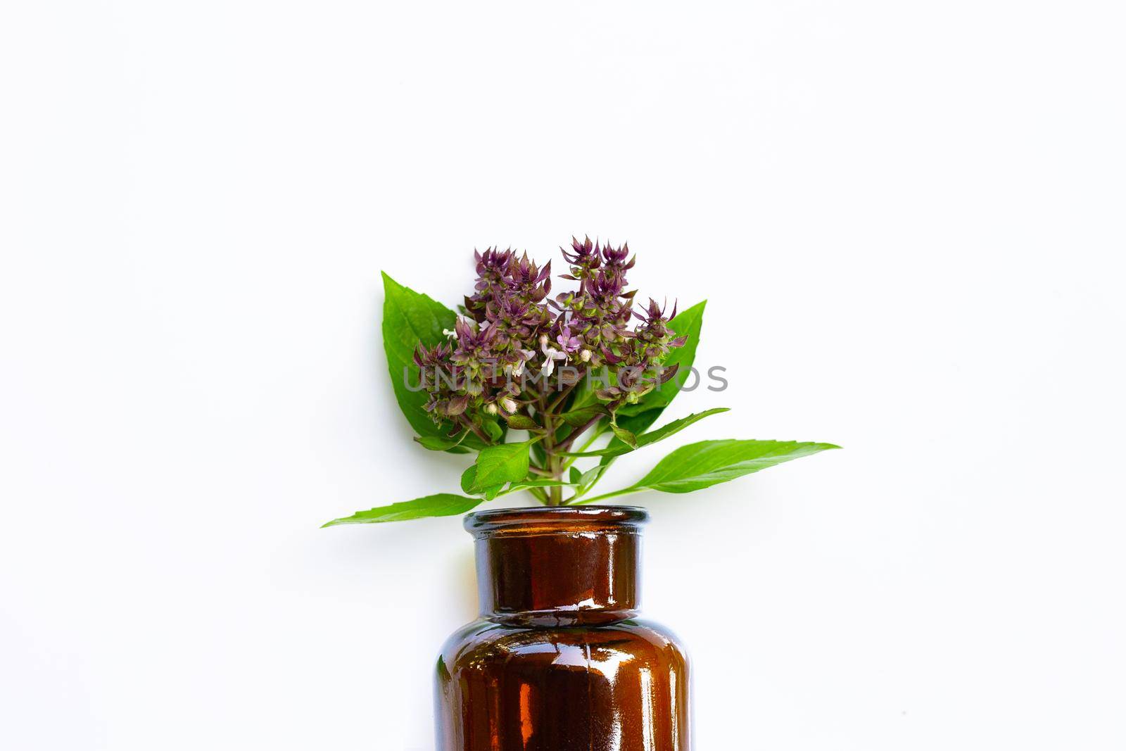 Sweet Basil flower in medicine bottle on white background.