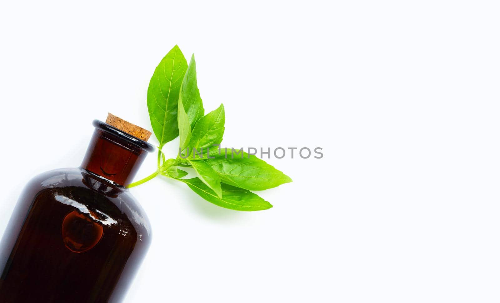 Basil leaves with essential oil bottle on white background.