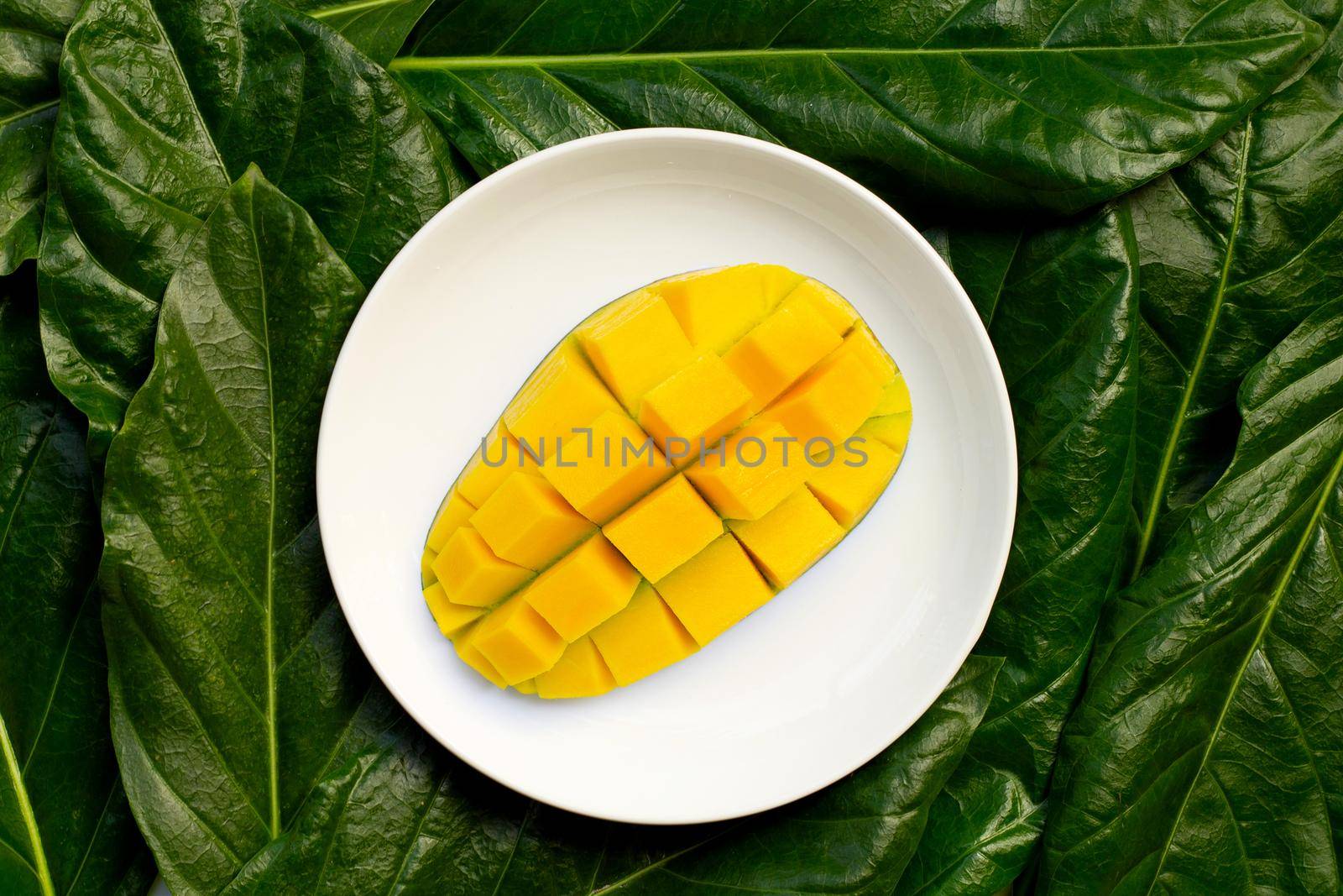 Mango on white ceramic plate on leaves background. Top view