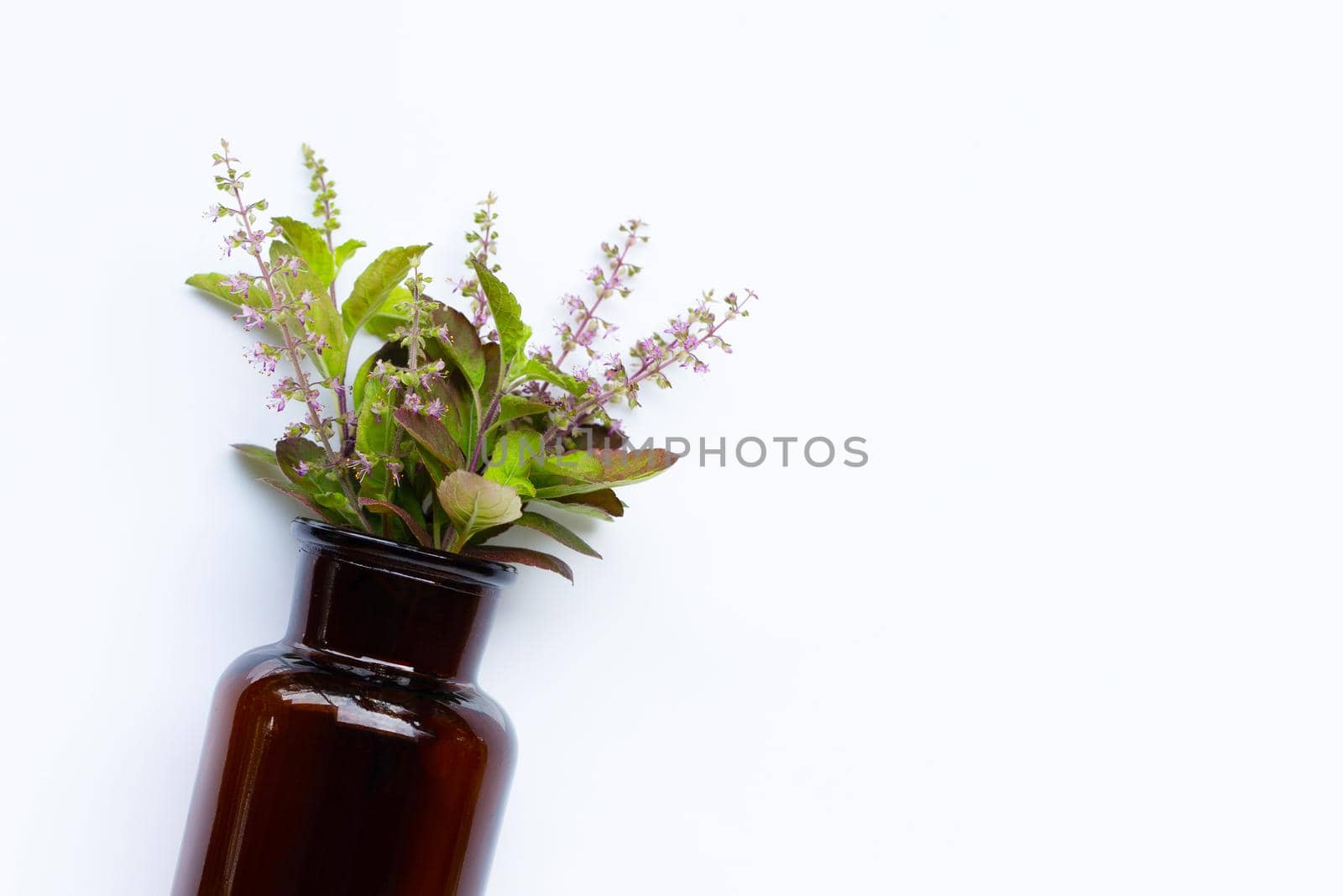 Essential oil bottle with fresh holy basil leaves and flower on white background.