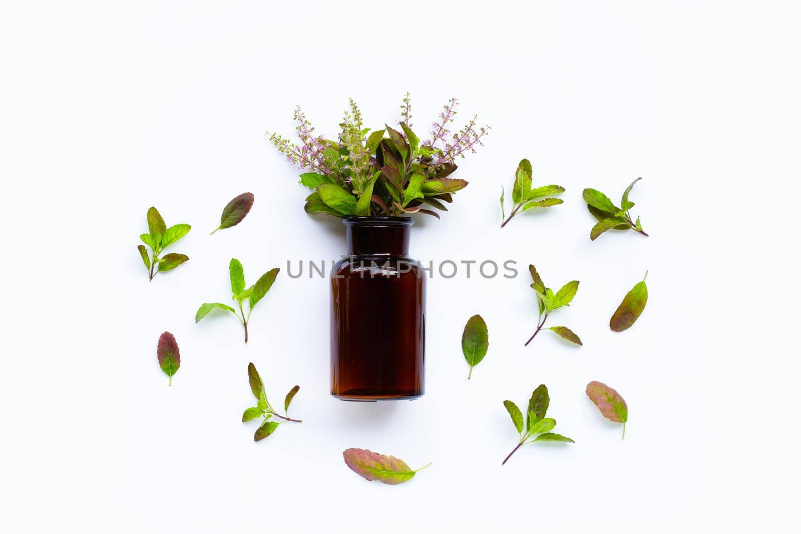 Essential oil bottle with fresh holy basil leaves and flower on white background.