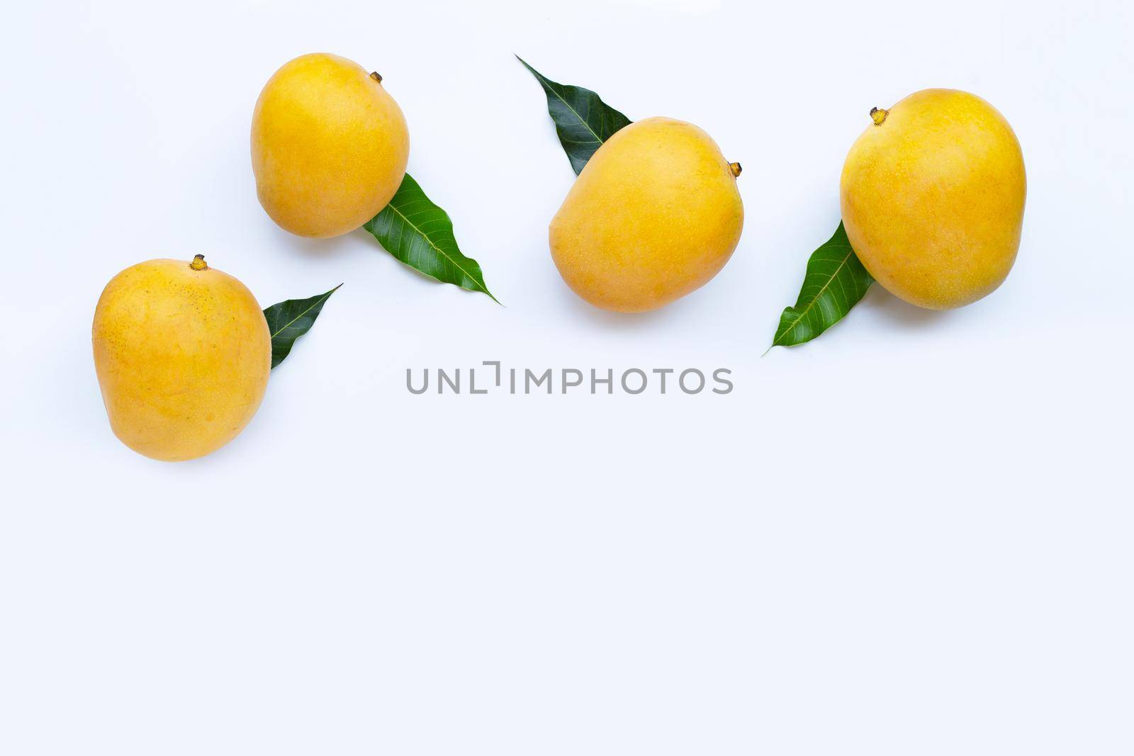 Tropical fruit, Mango  on white background. Top view