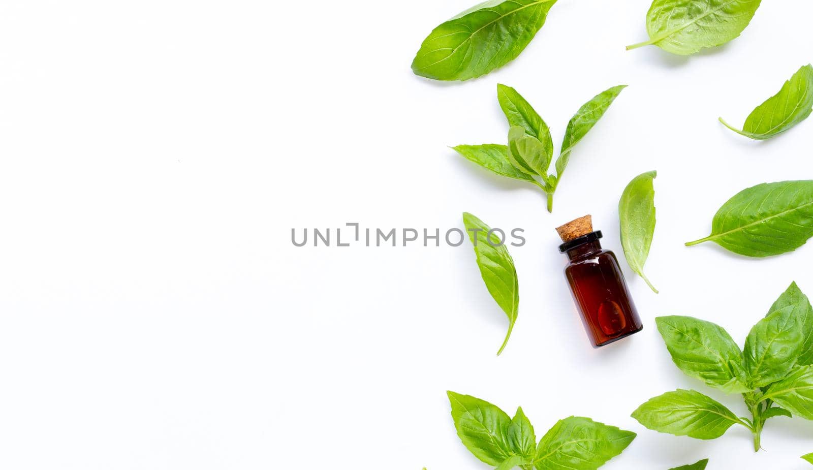 A bottle of essential oil with fresh basil leaves on white background.