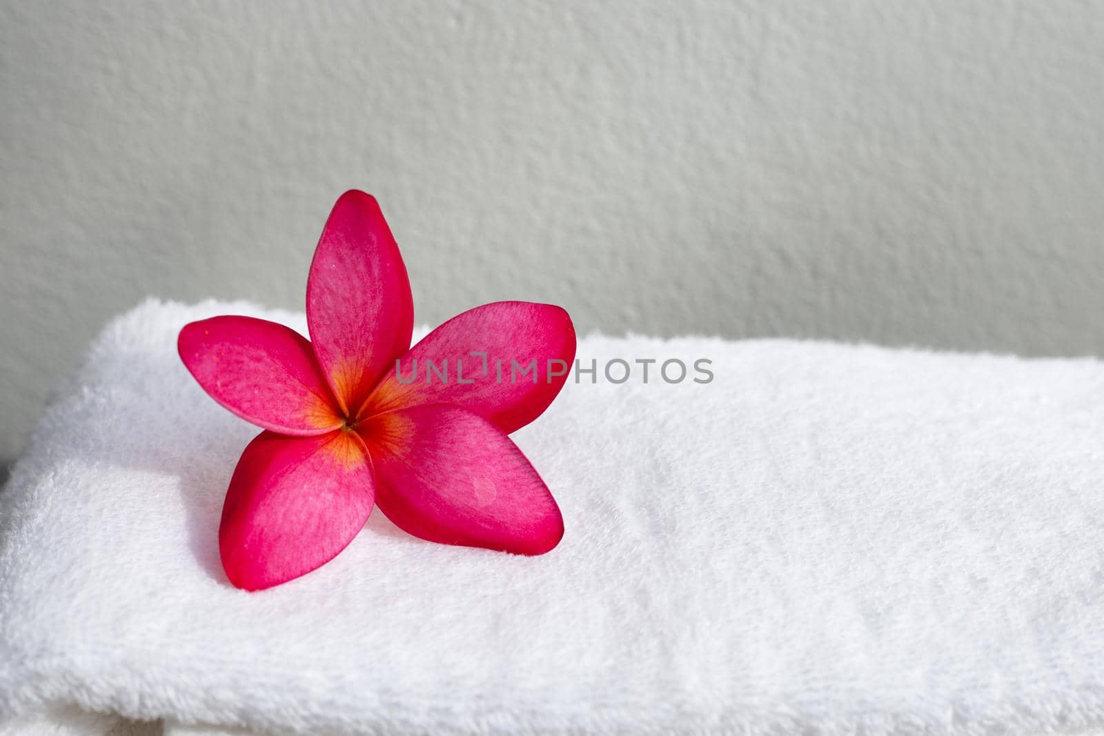 Red plumeria on white towel. Spa treatment concept