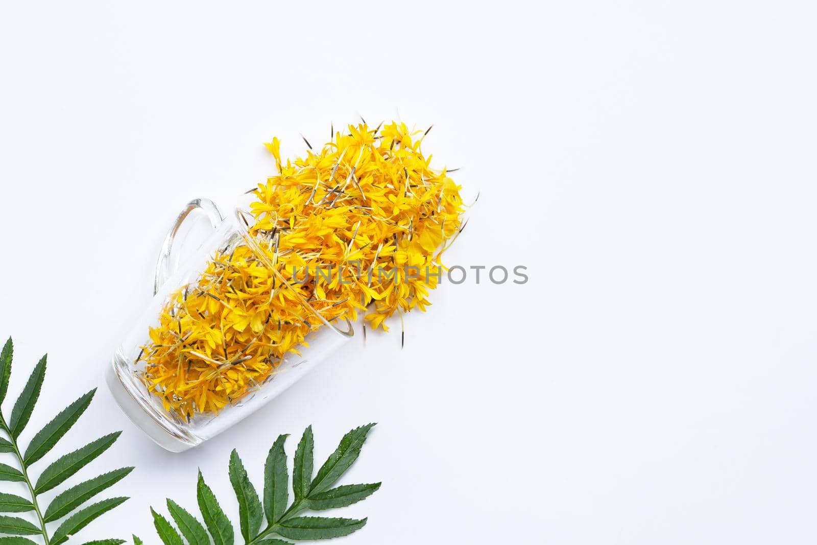 A glass cup with marigold flower petals on white background. Flower herbal tea concept.
