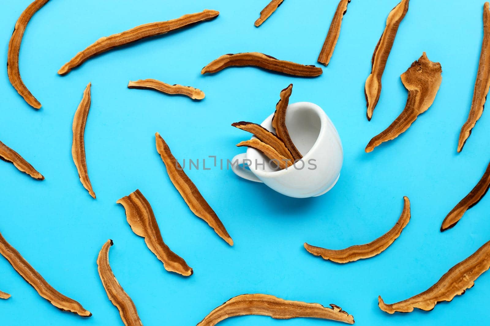 Dried lingzhi mushroom slices with cup on blue background. Top view