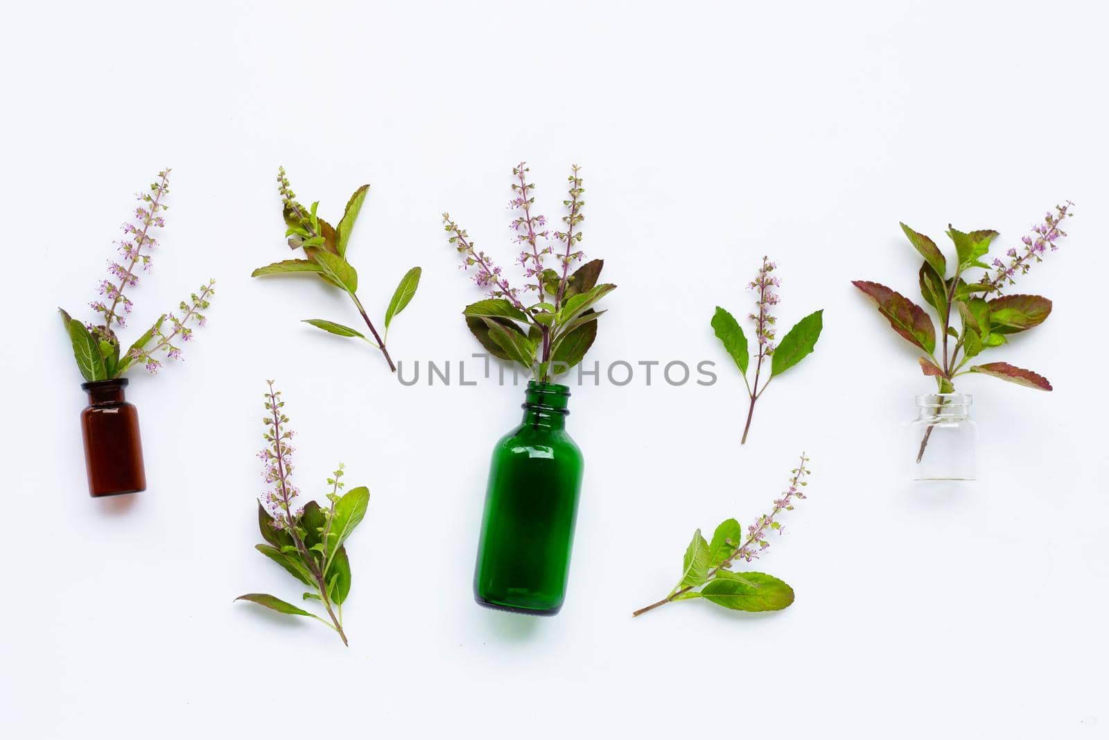 Essential oil bottles with fresh holy basil leaves and flower on white background.