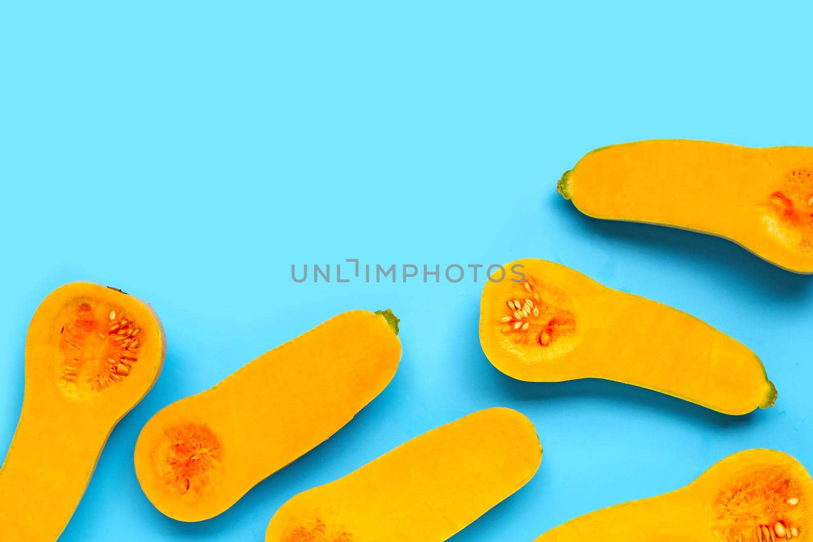 Butternut squash on blue background. Copy space
