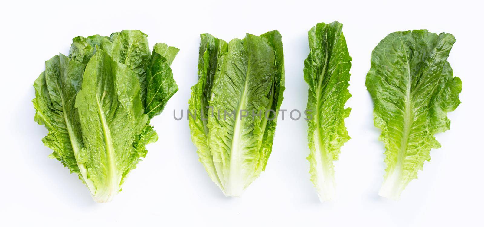 Fresh romaine lettuce isolated on a white background by Bowonpat