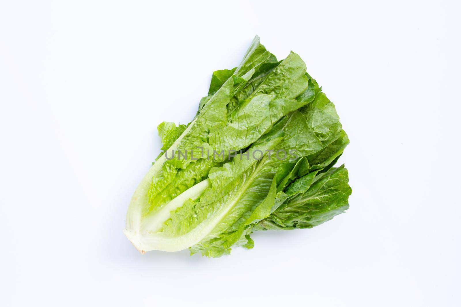 Fresh romaine lettuce isolated on a white background