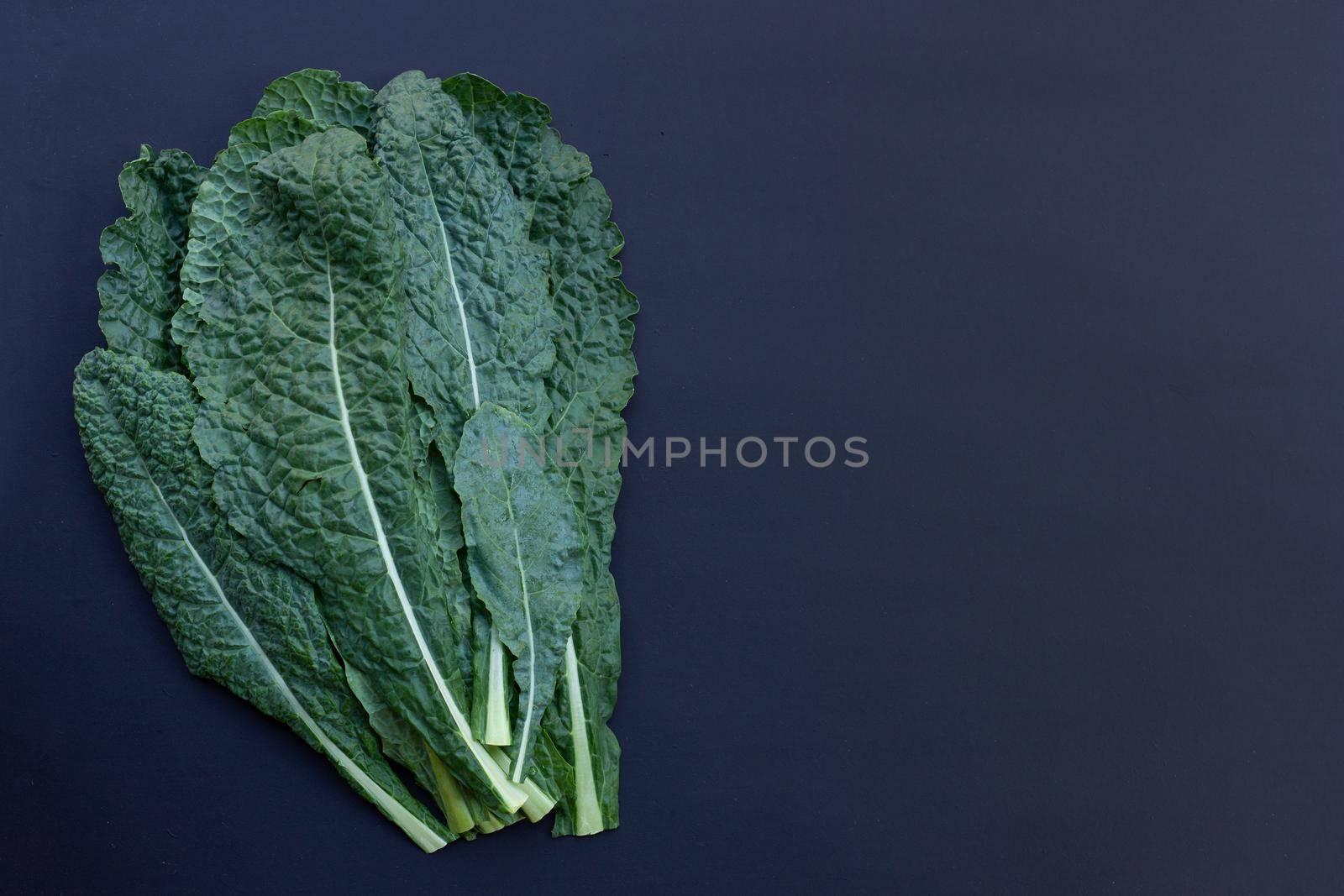 Fresh organic green kale leaves on dark background.