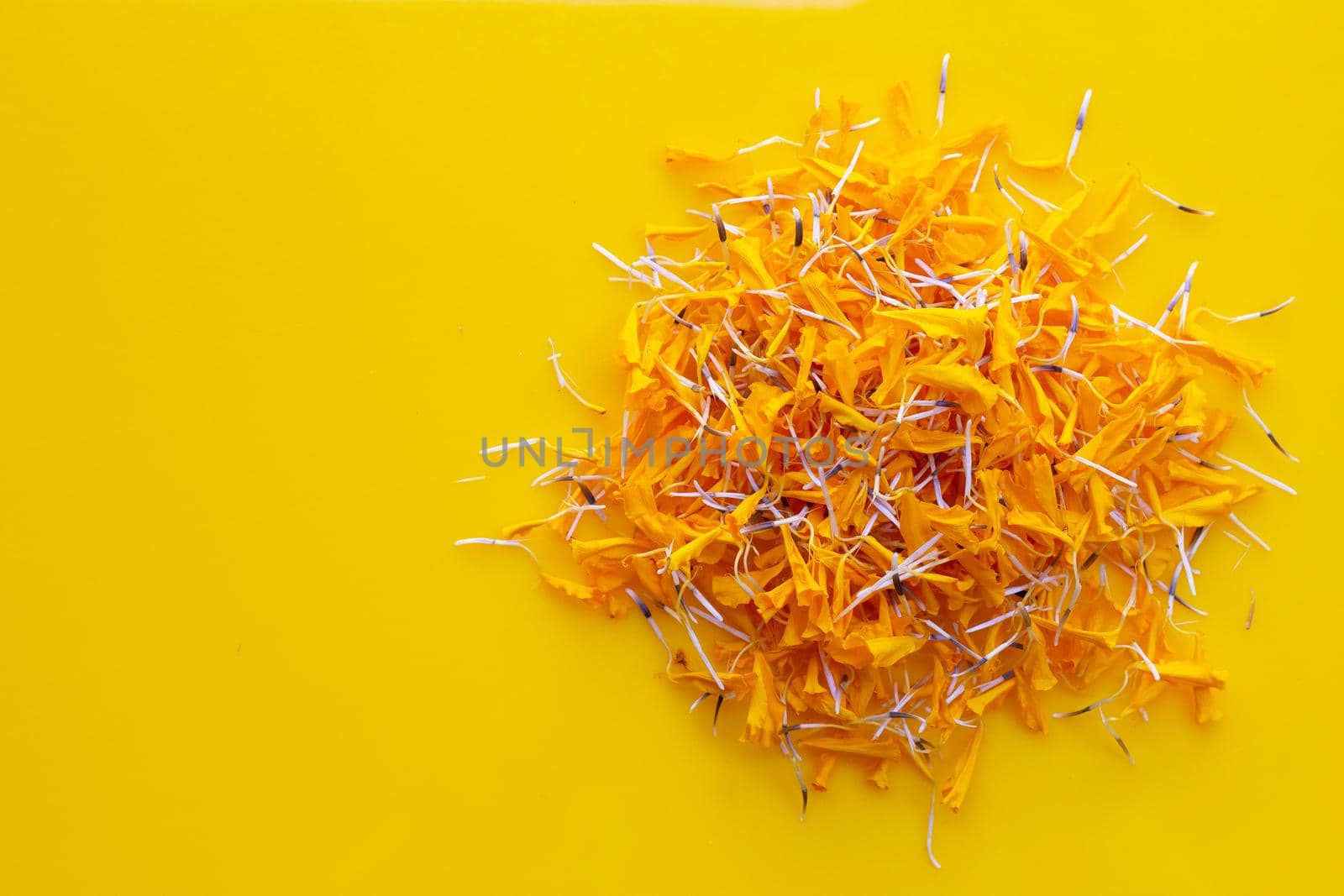 Marigold flower petals on yellow background.