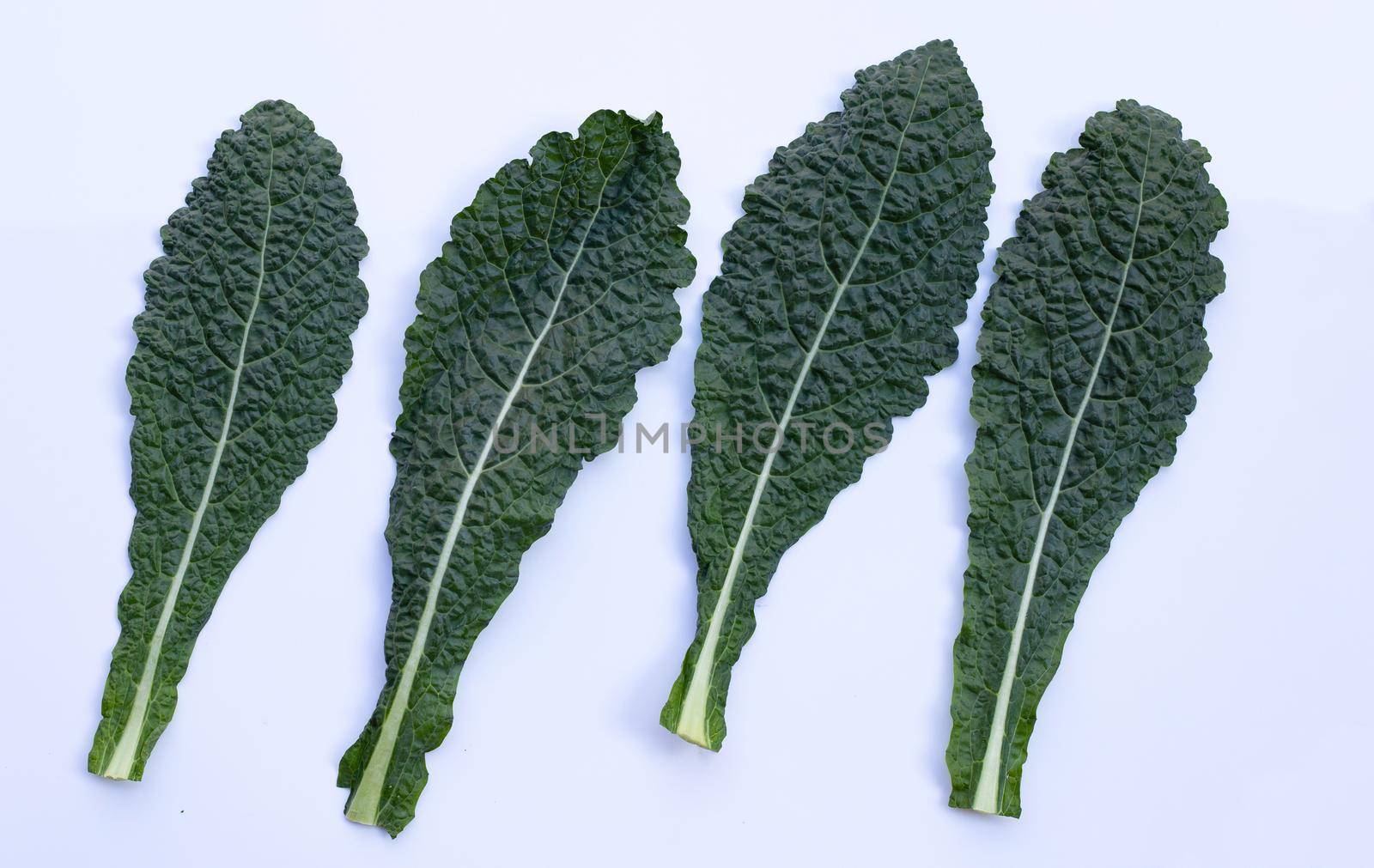 Fresh organic green kale leaves on white background.