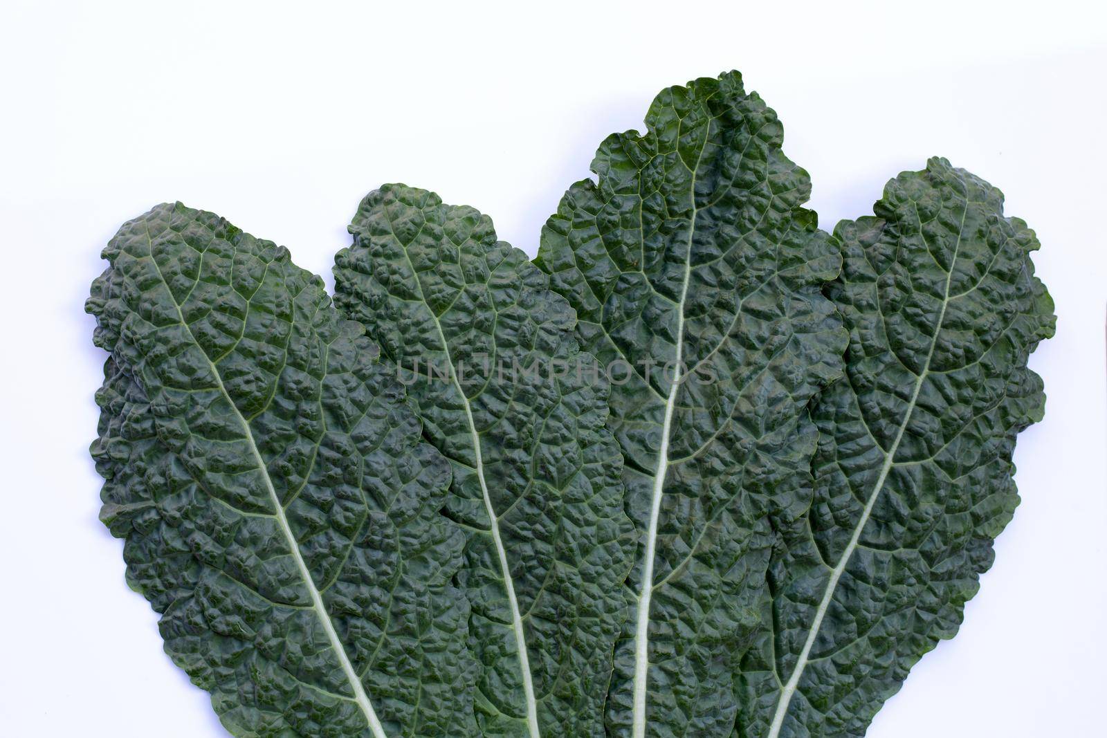 Fresh organic green kale leaves on white background.