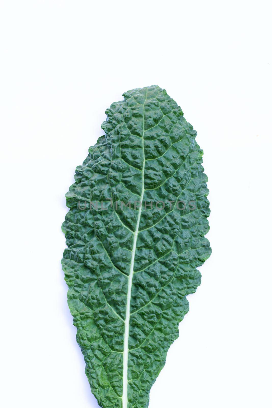 Fresh organic green kale leaves on white background.