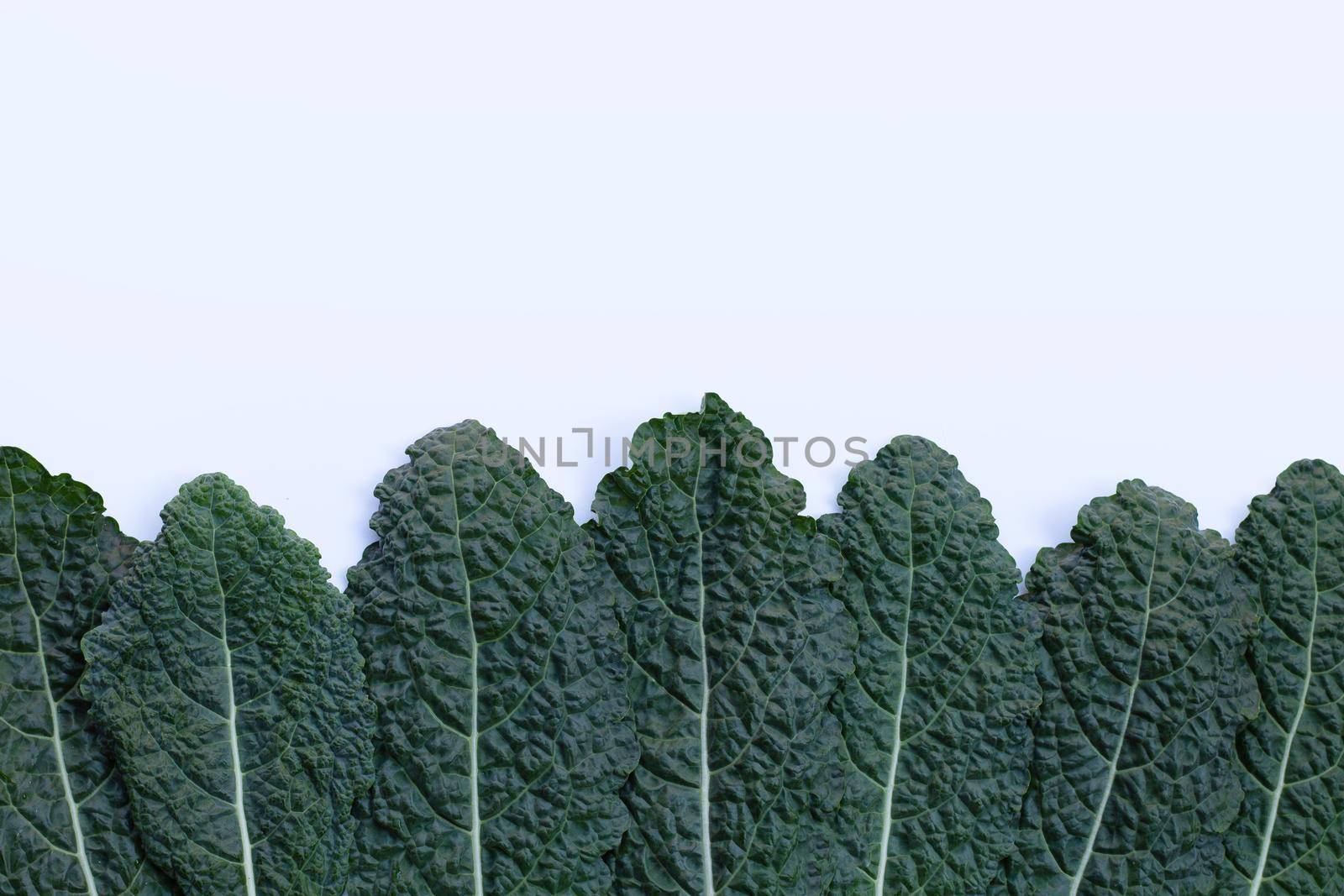 Fresh organic green kale leaves on white background.