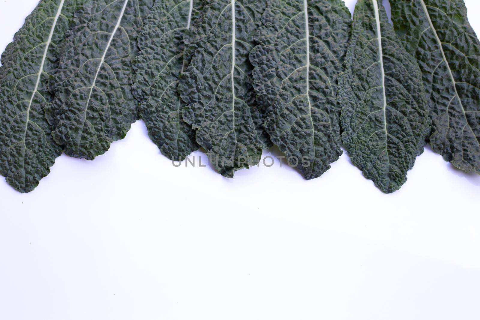 Fresh organic green kale leaves on white background.