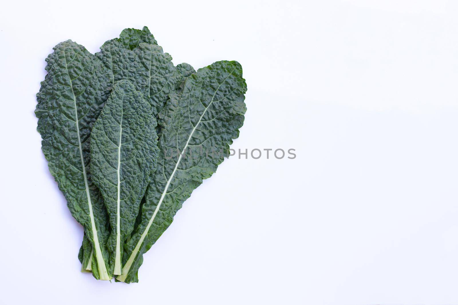 Fresh organic green kale leaves on white background.