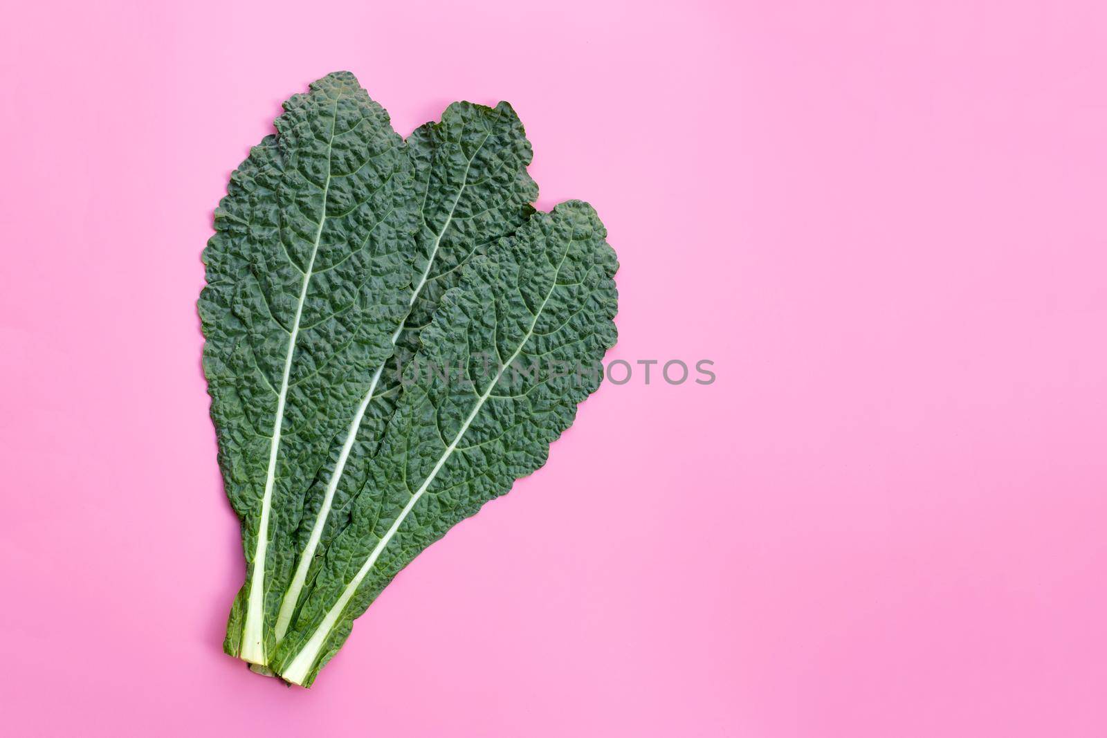 Fresh organic green kale leaves on pink background.
