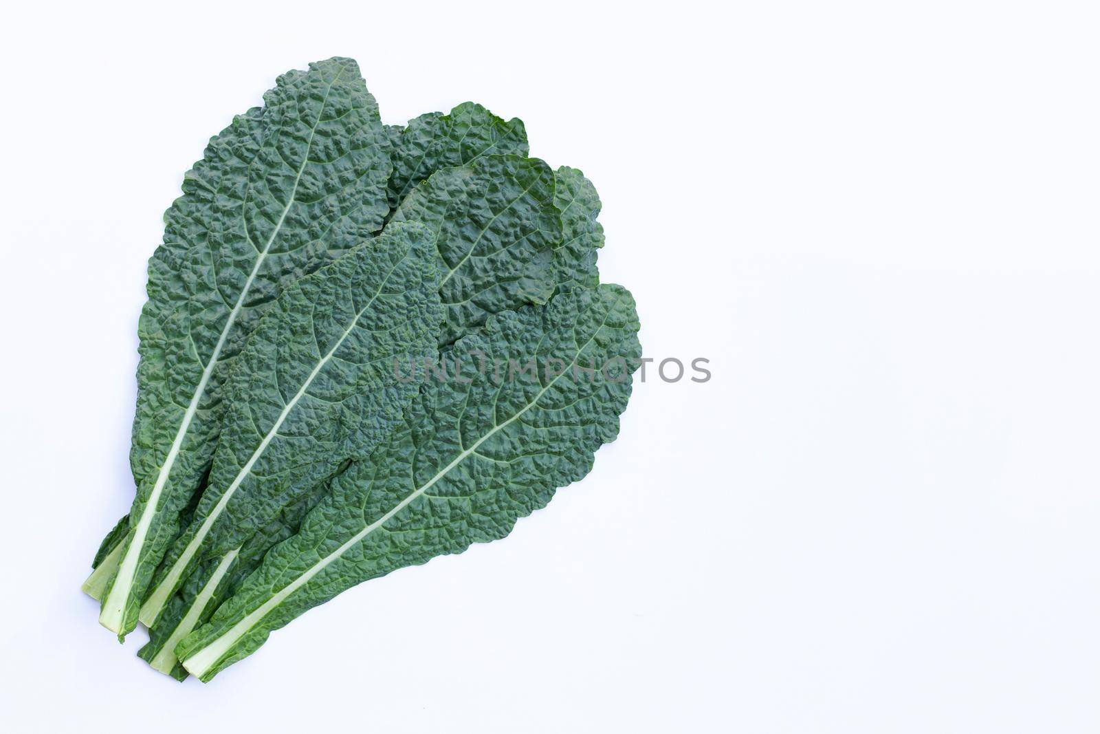 Fresh organic green kale leaves on white background.
