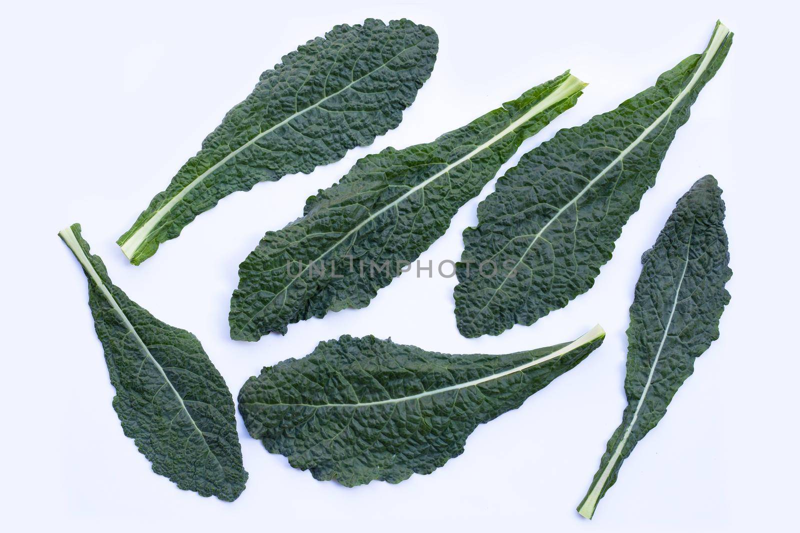 Fresh organic green kale leaves on white background.