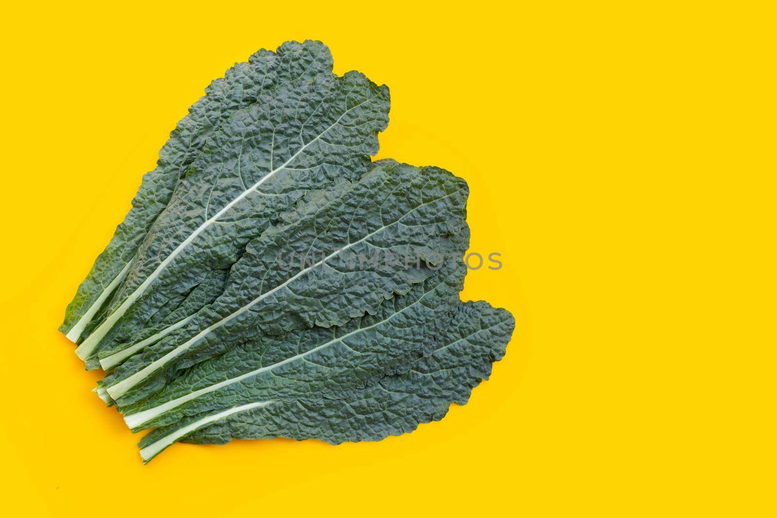 Fresh organic green kale leaves on yellow background.