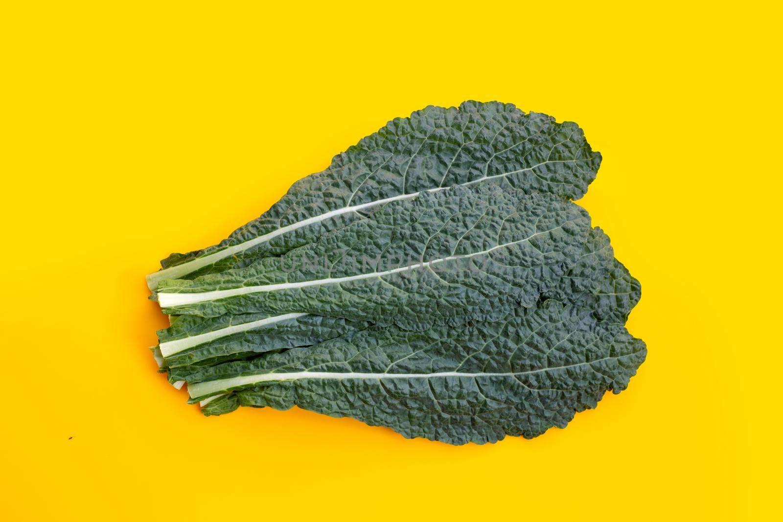 Fresh organic green kale leaves on yellow background.