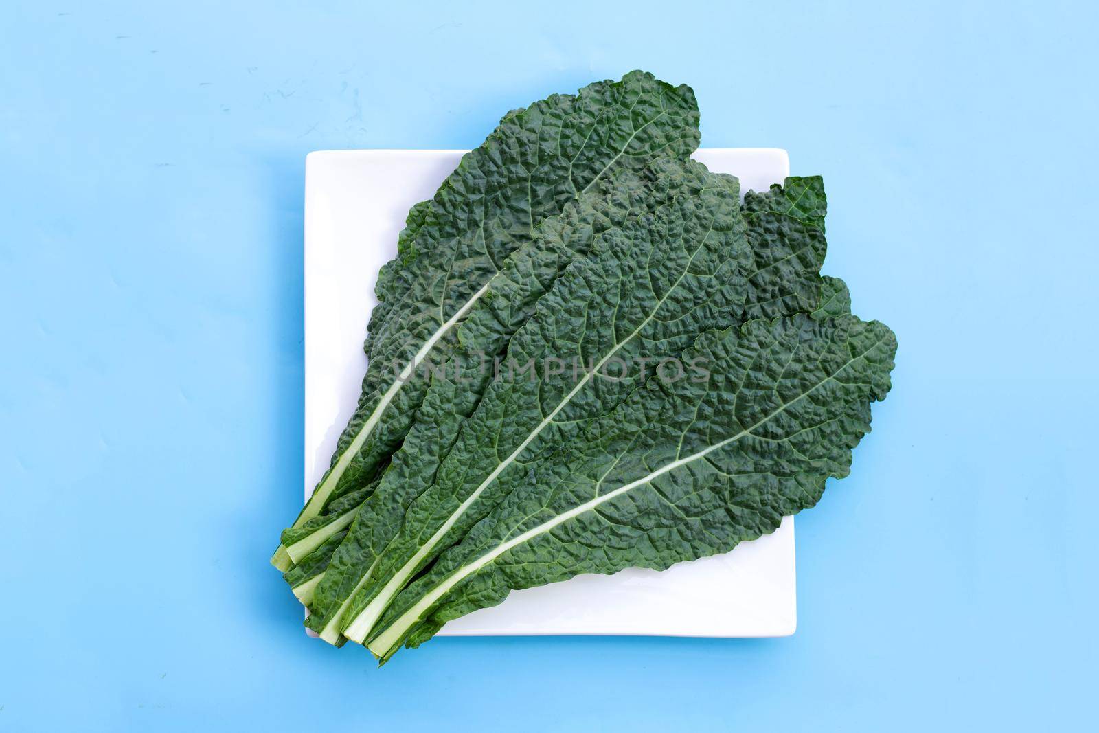 Fresh organic green kale leaves on blue background.