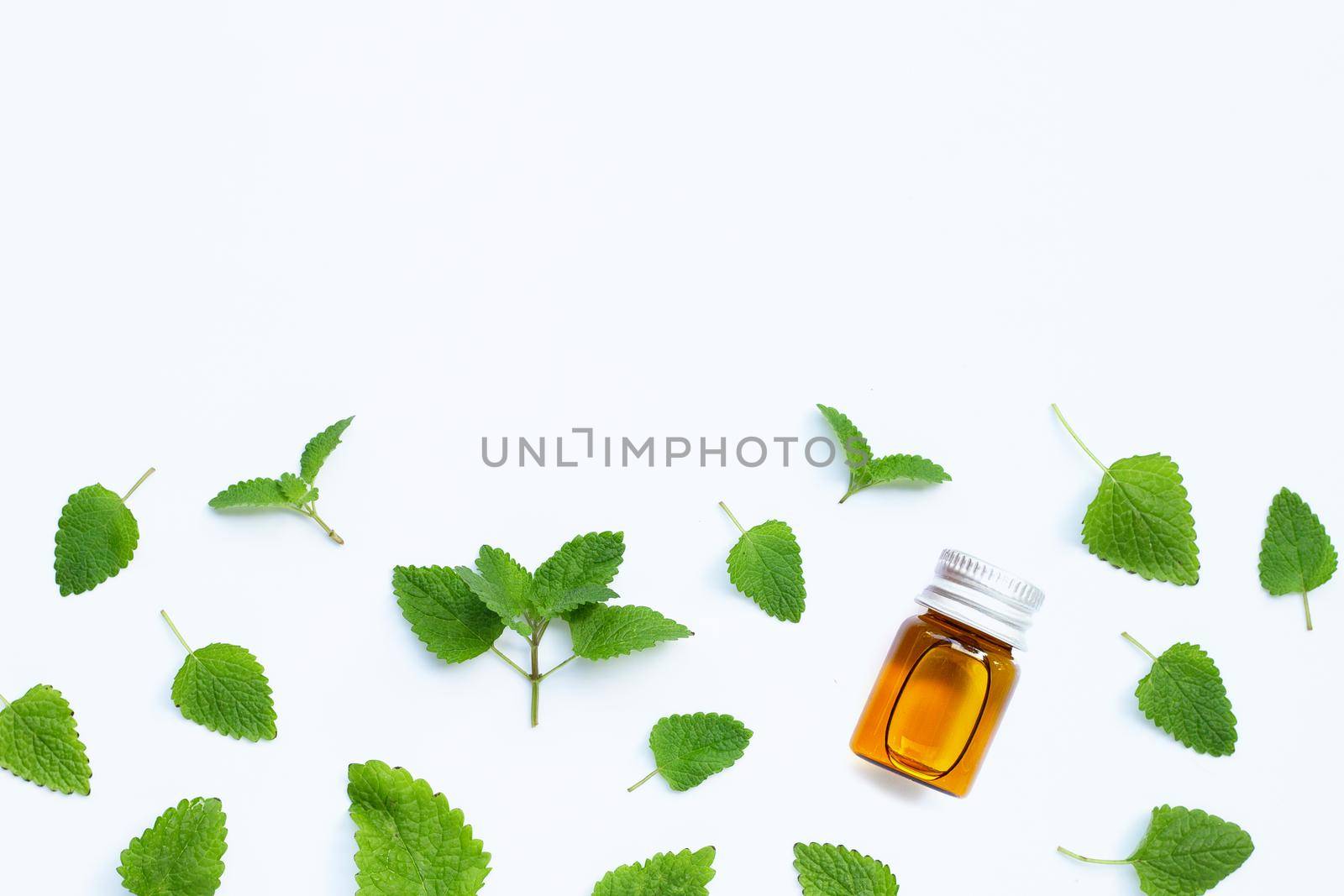 Essential oil bottle with melissa lemon balm fresh leaves on white background.