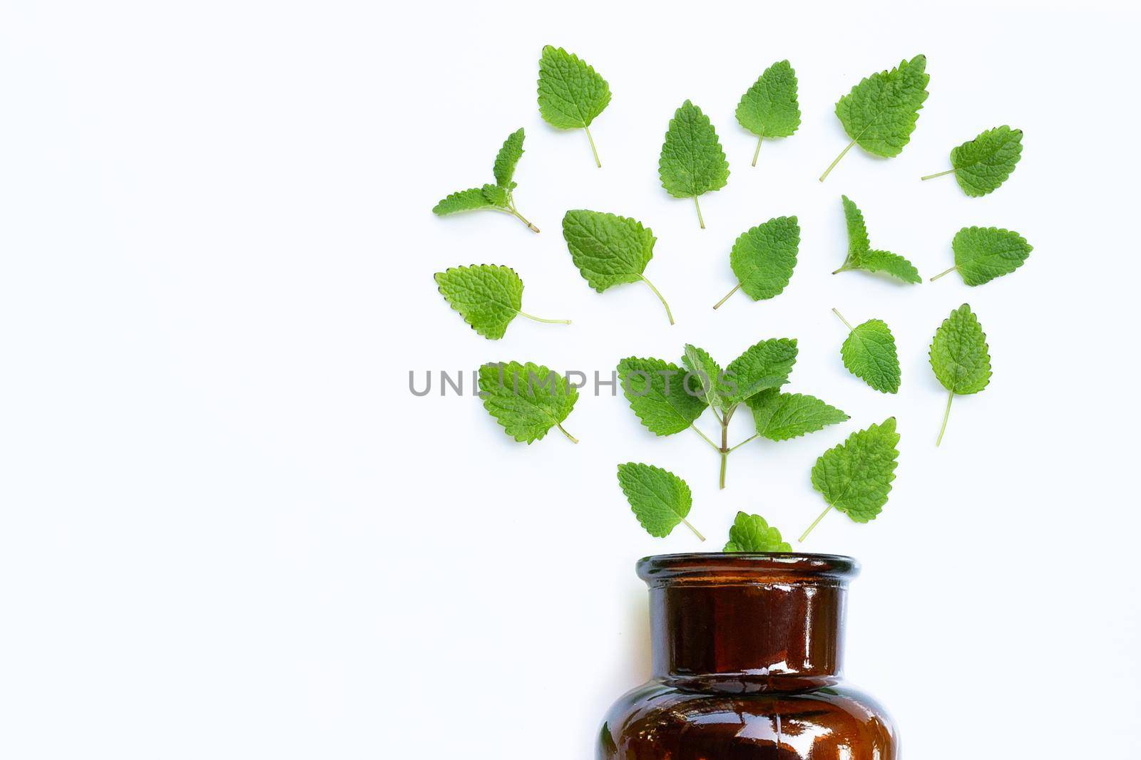 Melissa lemon balm fresh leaves with essential oil bottle on white background.