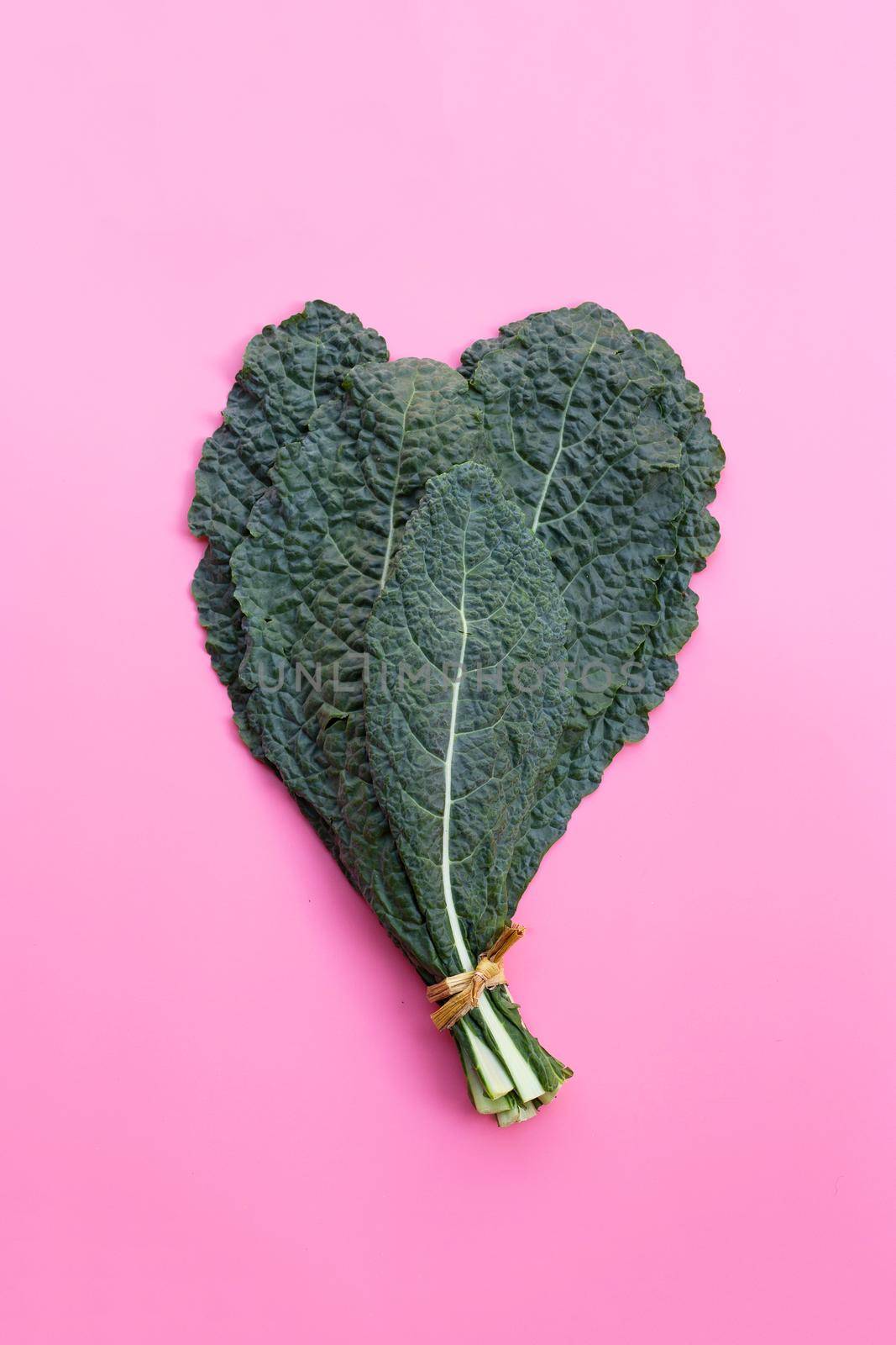 Fresh organic green kale leaves on pink background.