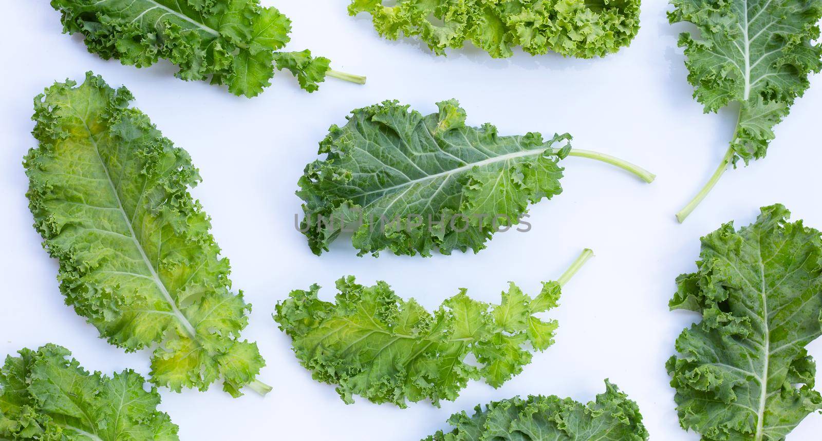 Fresh kale leaves salad vegetable on white background.