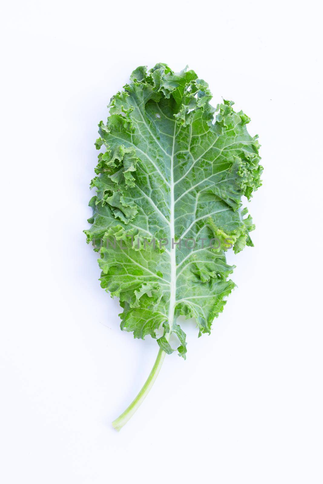 Fresh kale leaves salad vegetable on white background. by Bowonpat