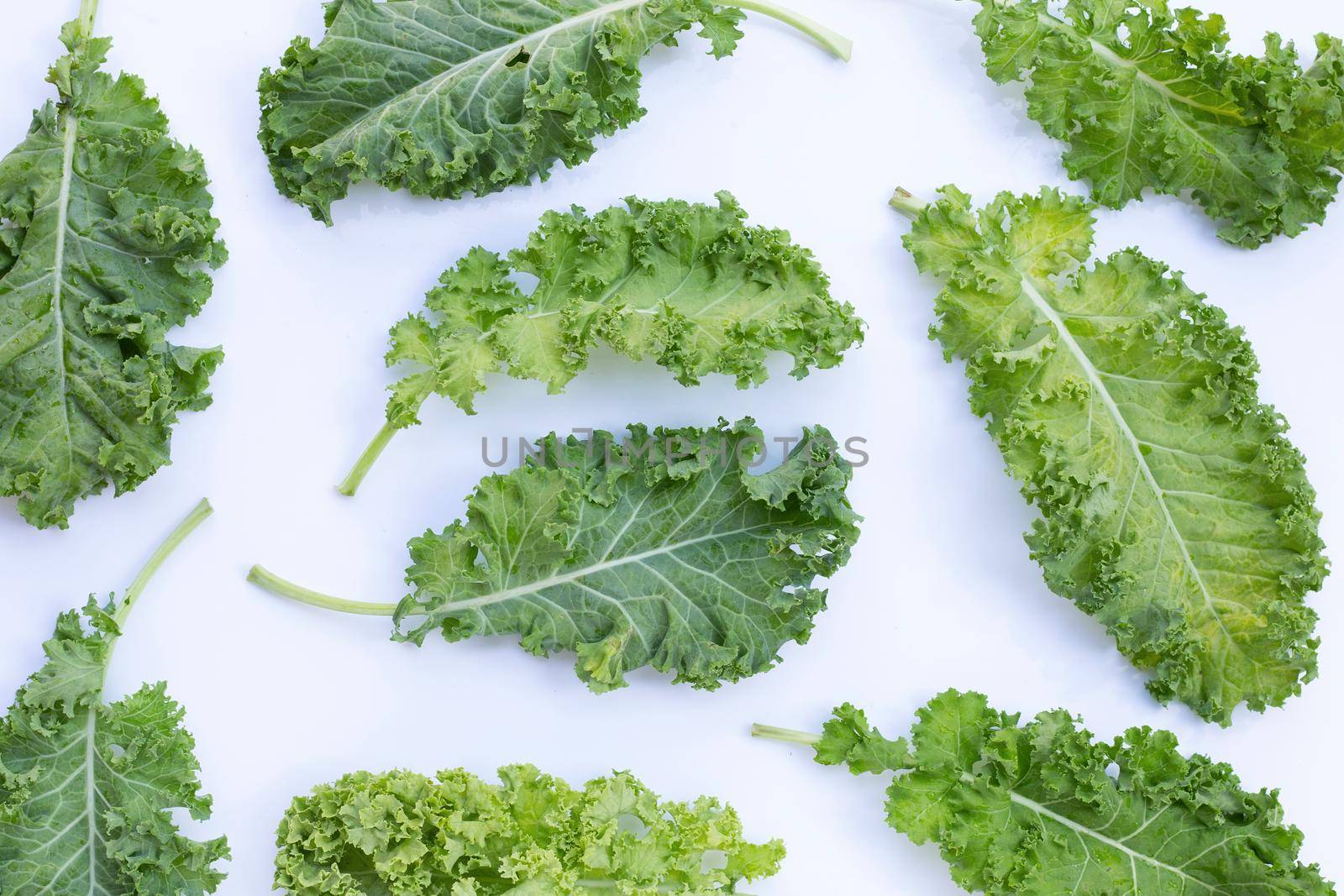 Fresh kale leaves salad vegetable on white background.