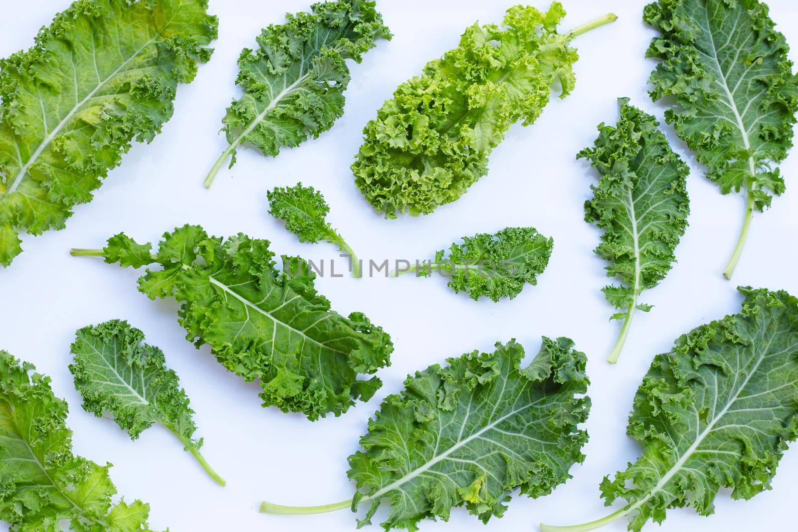 Fresh kale leaves salad vegetable on white background.